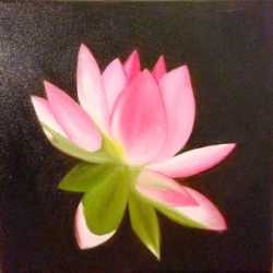 Lotus Love_kopie